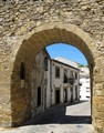 Puerta y Torreón del Barbudo