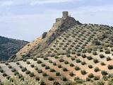 Castillo de Víboras