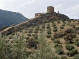 Castillo de Víboras