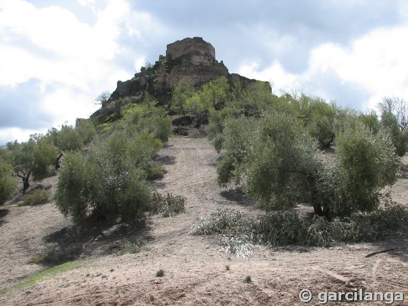 Castillo de La Espinareda