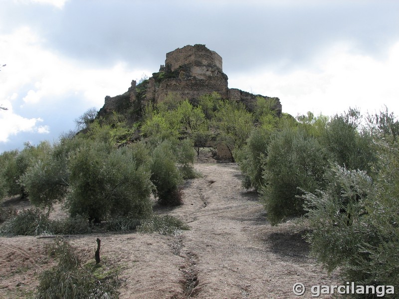 Castillo de La Espinareda