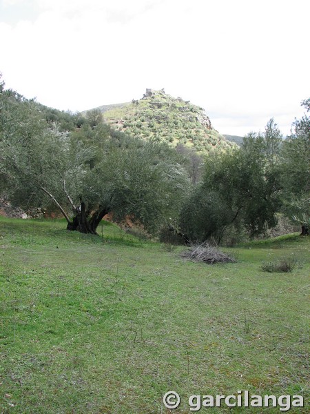 Castillo de La Espinareda