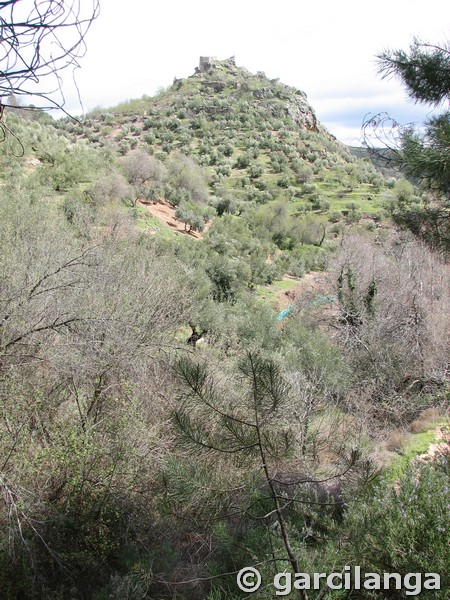 Castillo de La Espinareda