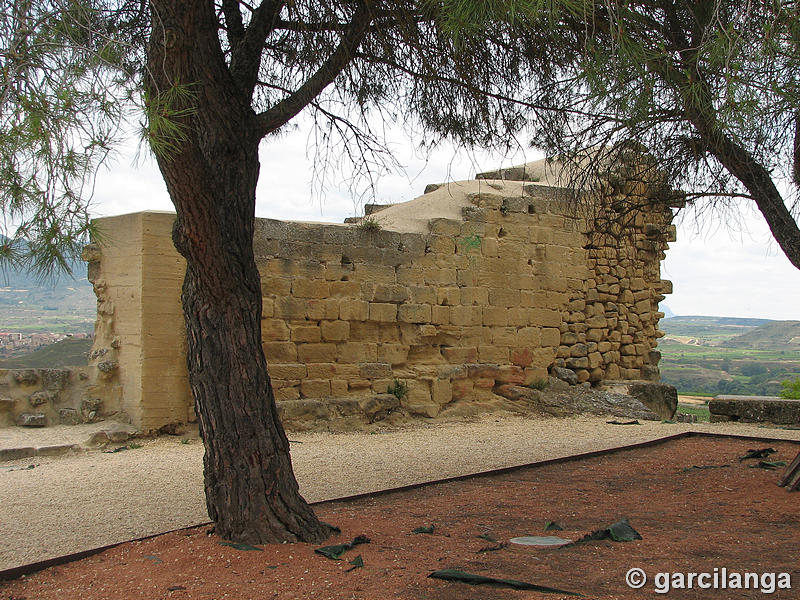 Muralla urbana de Briones