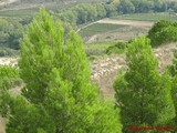 Castillo de Davalillo