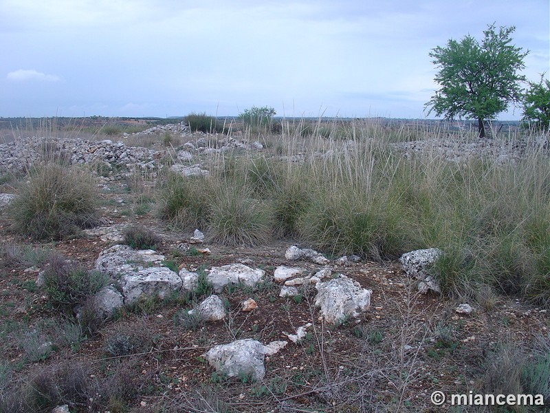 Atalaya de Campo Real