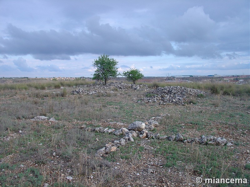 Atalaya de Campo Real