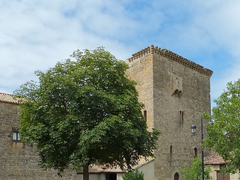 Castillo palacio de Arazuri