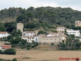 Palacio de Olza