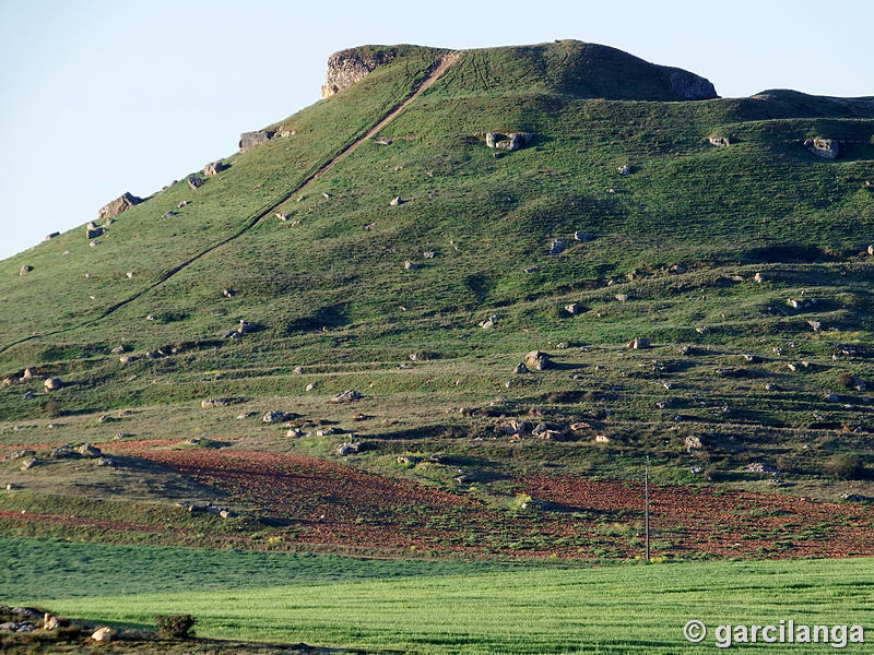 Castillo de El Carpio