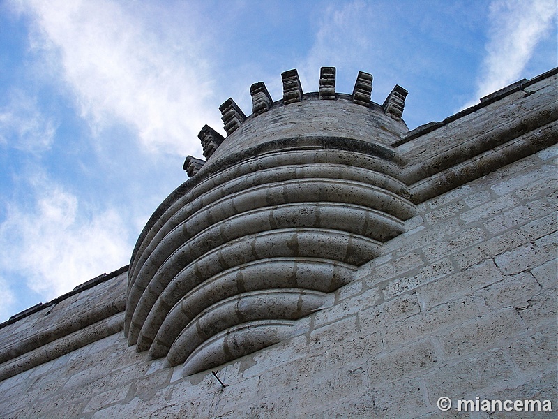 Castillo de los Duques de Alburquerque