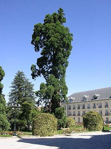 Palacio de La Granja