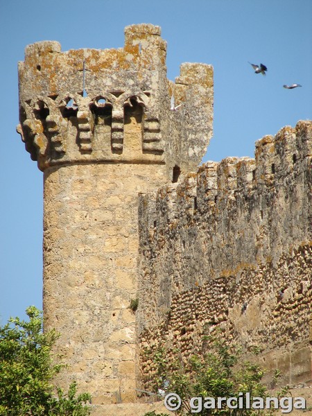 Castillo de Marchenilla