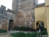 Castillo de Marchenilla