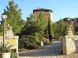 Castillo de Somaén