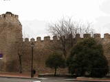 Muralla urbana de Olmedo