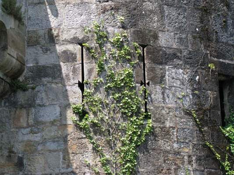 Castillo de Butrón