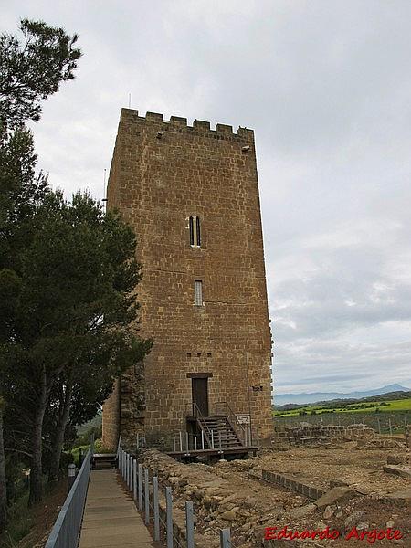 Castillo de Navardún