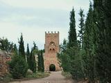 Castillo de Piedra Vieja